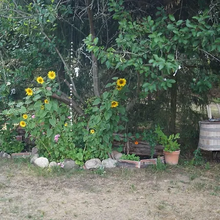 Rehagen Sued Apartman Am Mellensee