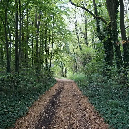 Apartman Rehagen Sued