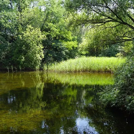 Rehagen Sued Apartamento *