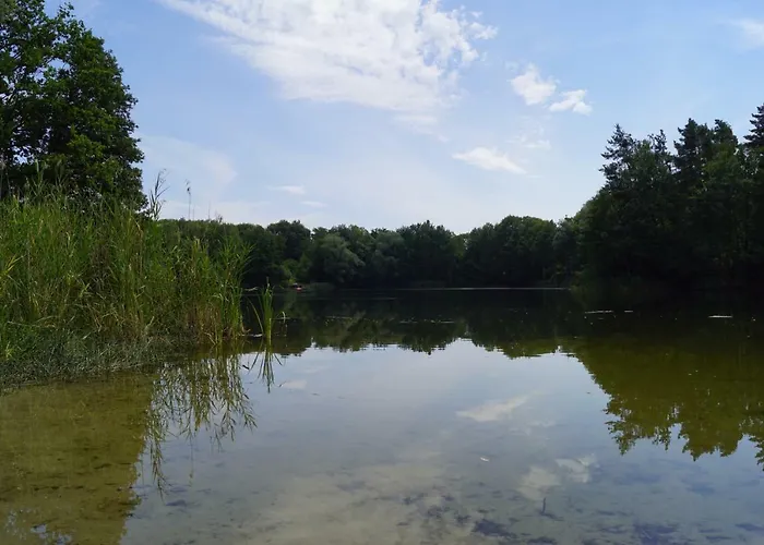 Rehagen Sued Am Mellensee