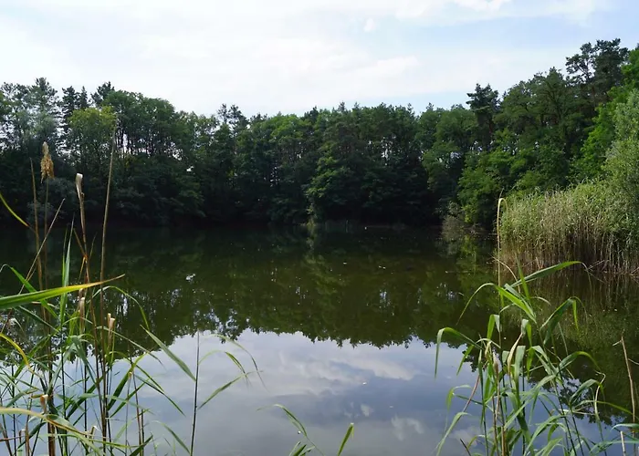 Lägenhet Rehagen Sued *