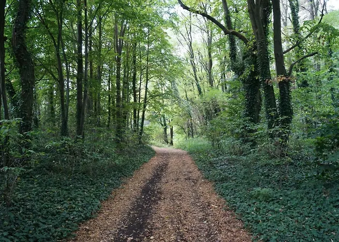 Lägenhet Rehagen Sued