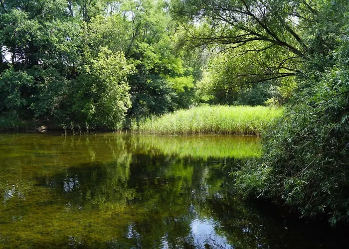 Rehagen Sued Lägenhet *